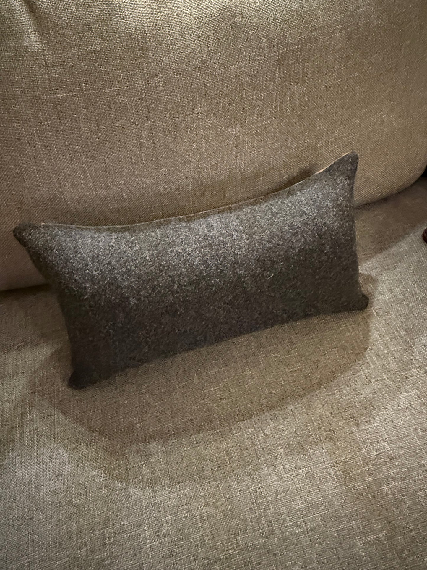 Land of Buffalo Pillow