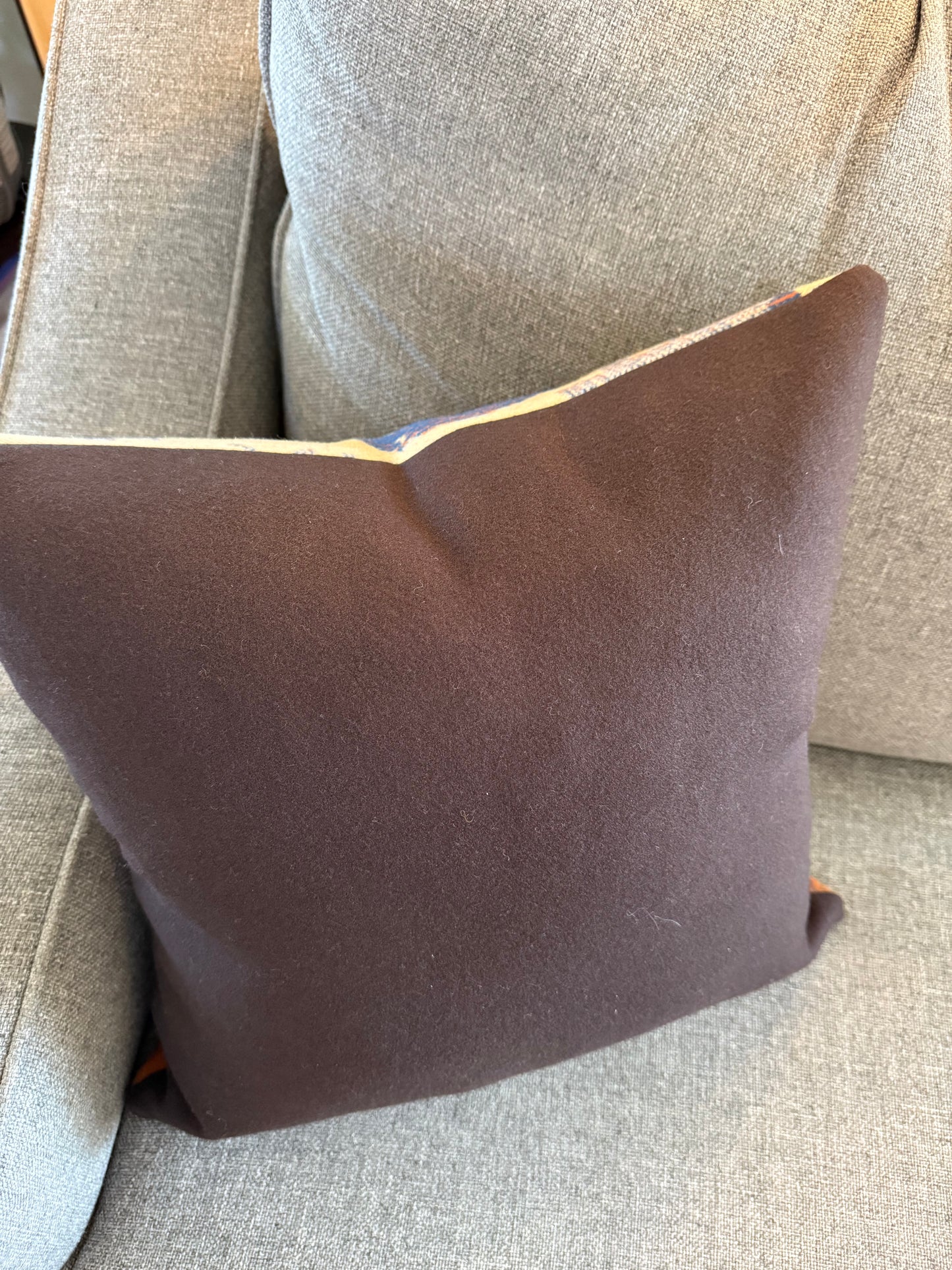 Land of Buffalo Pillow