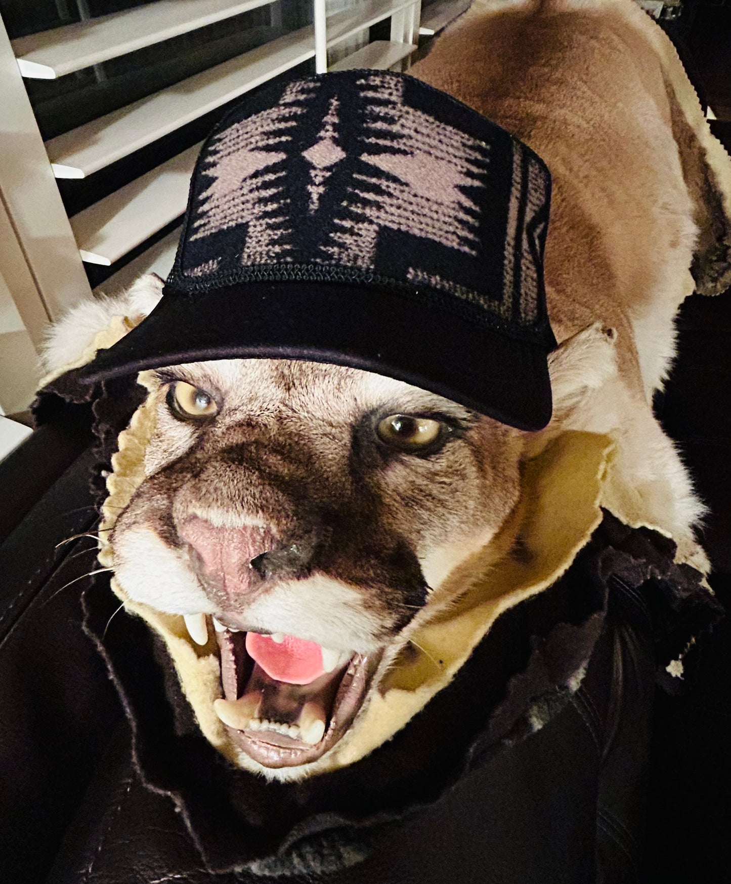 Harding Black & Tan Trucker Hat