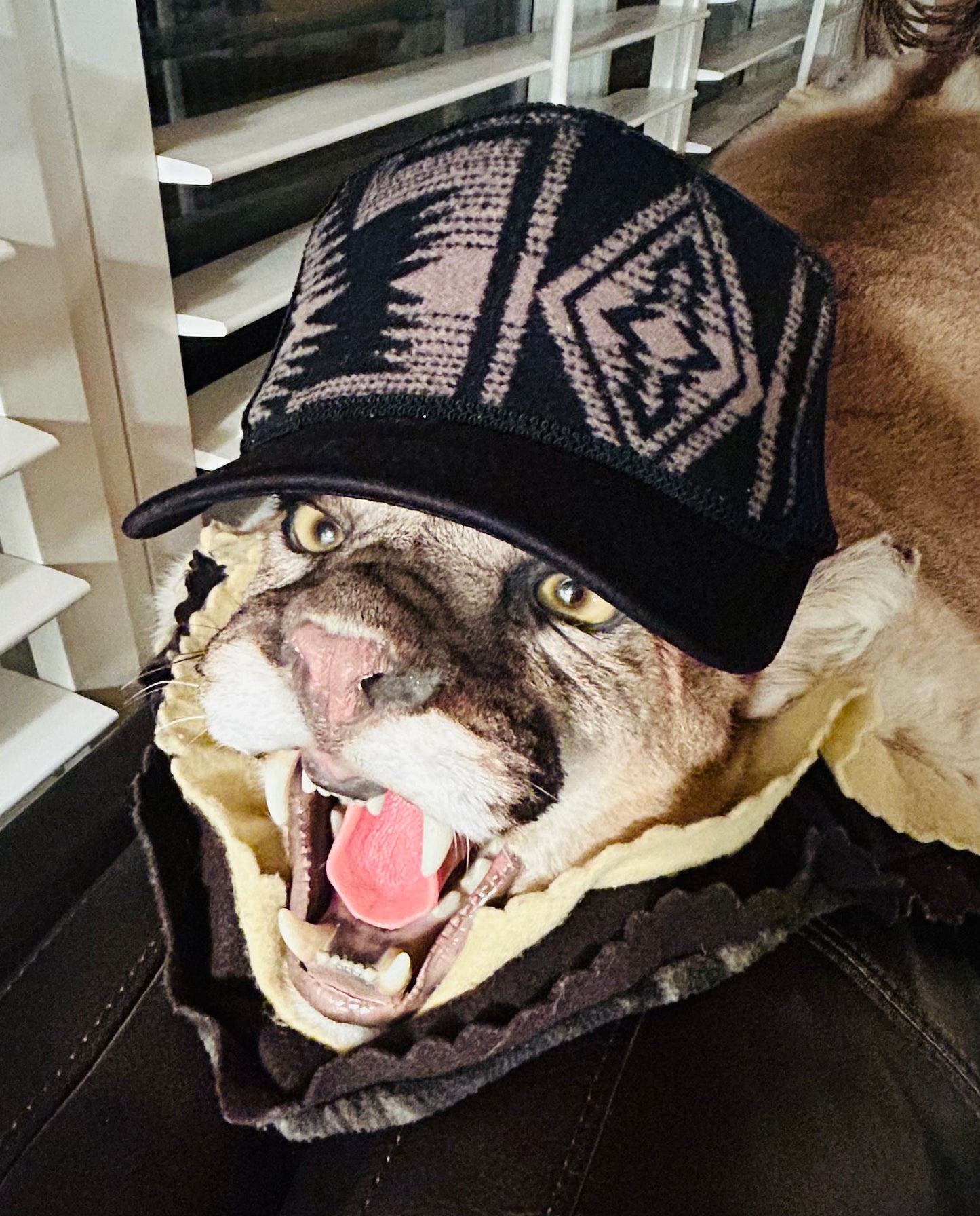 Harding Black & Tan Trucker Hat