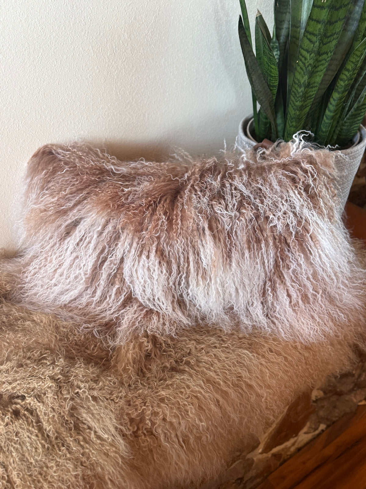 Brown Pacific Crest & Tibetan Lamb Pillow