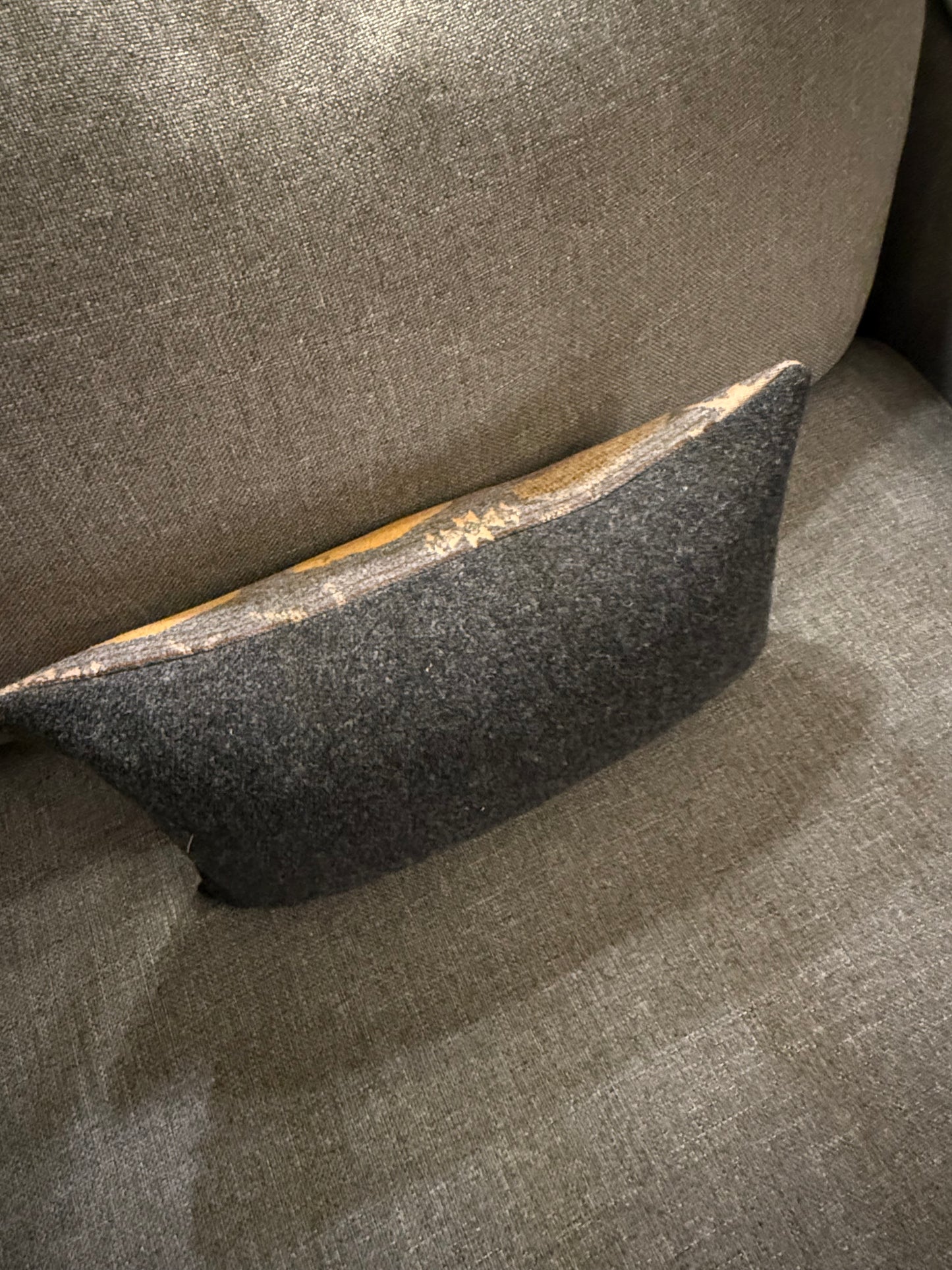 Land of Buffalo Pillow