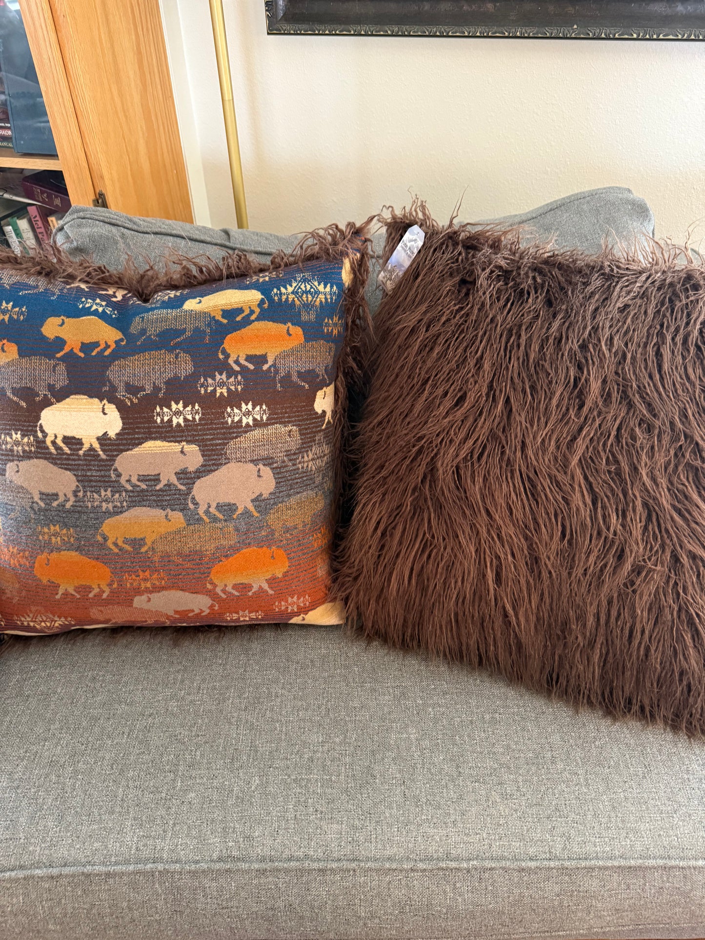 Land of Buffalo Pillows