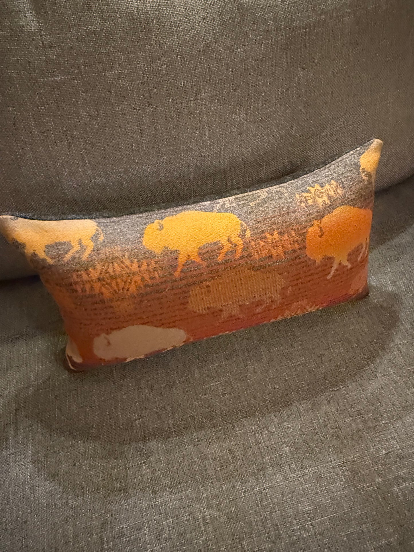 Land of Buffalo Pillow