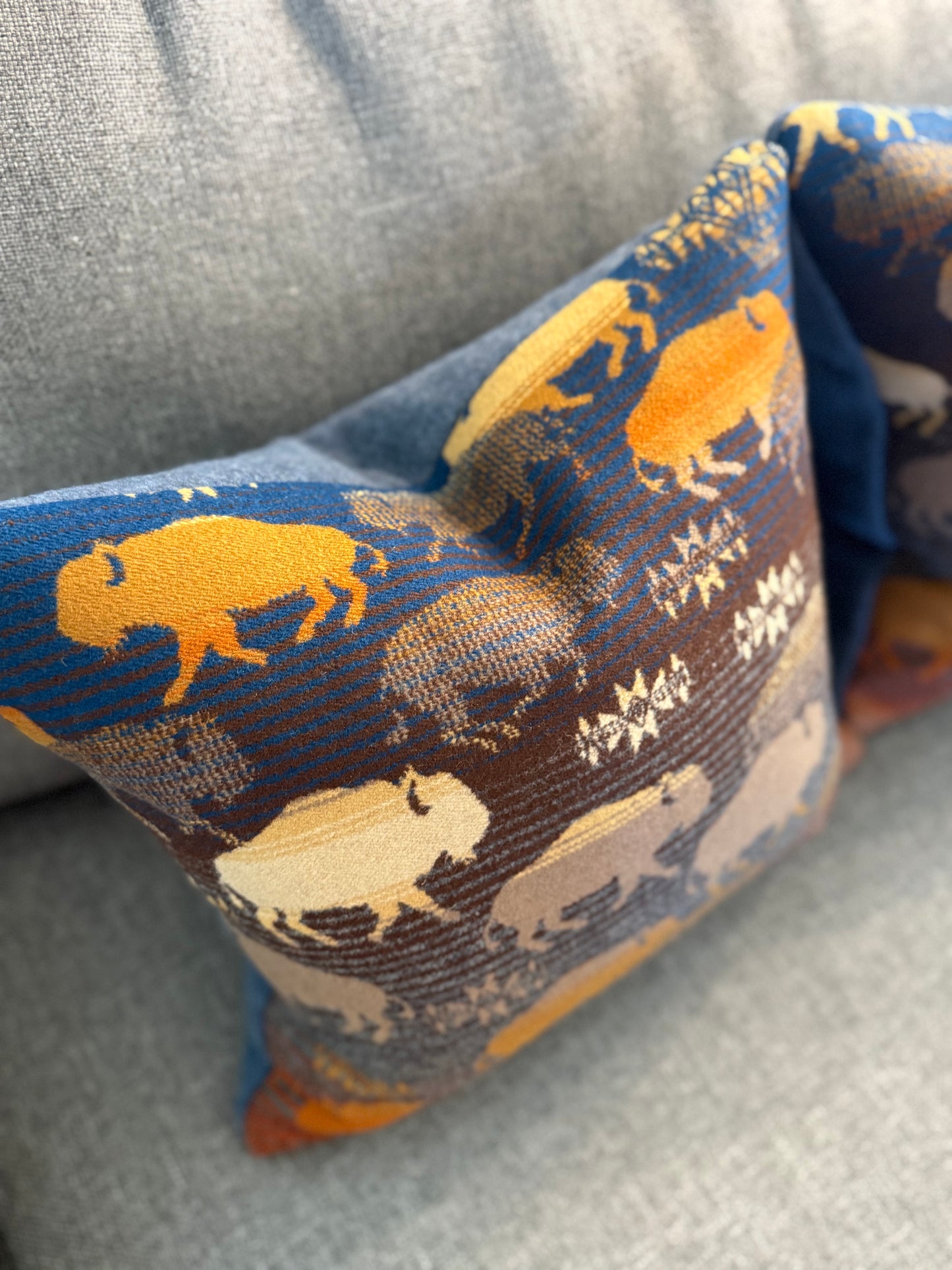 Land of Buffalo Pillow Set