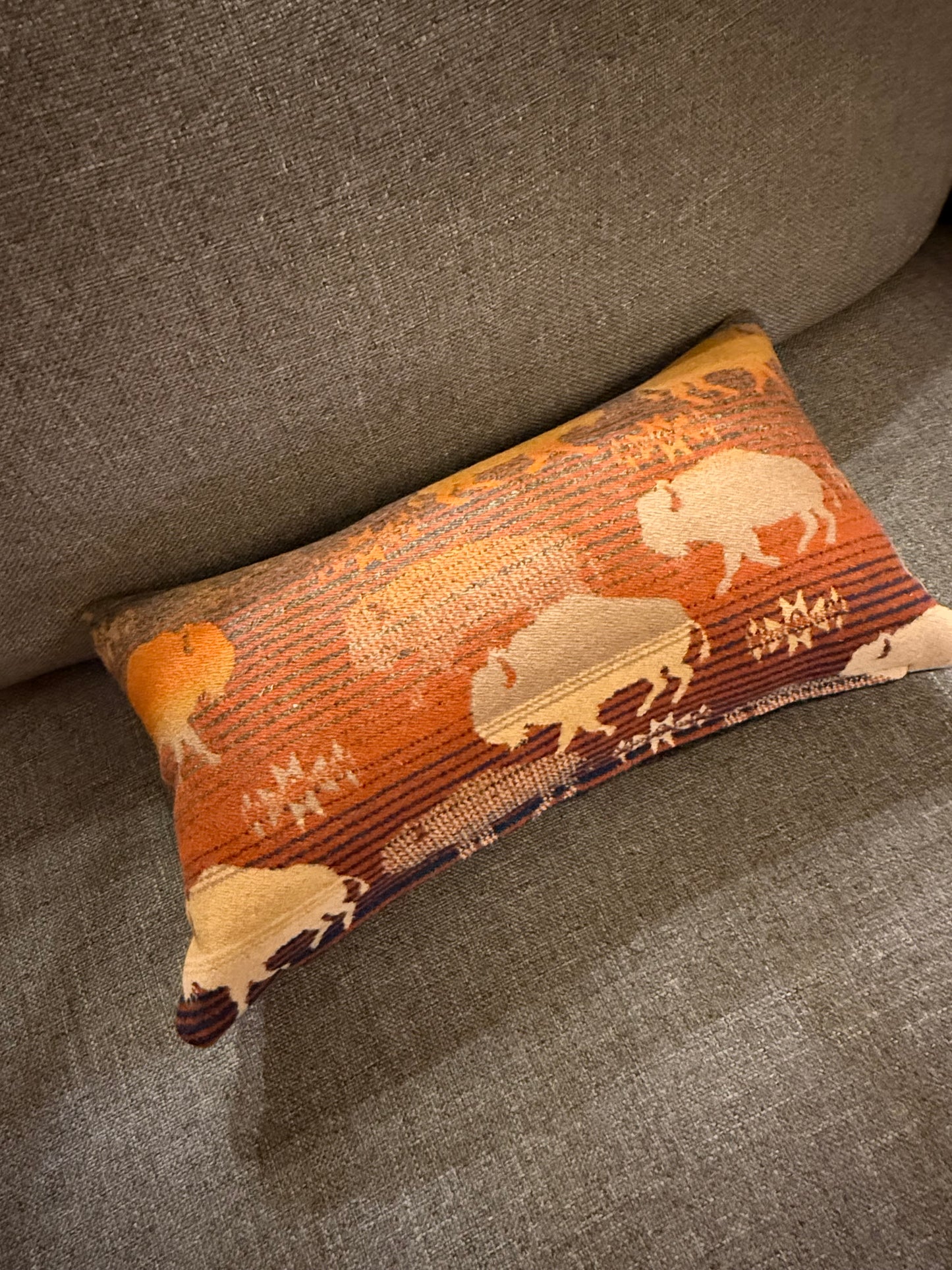 Land of Buffalo Pillow