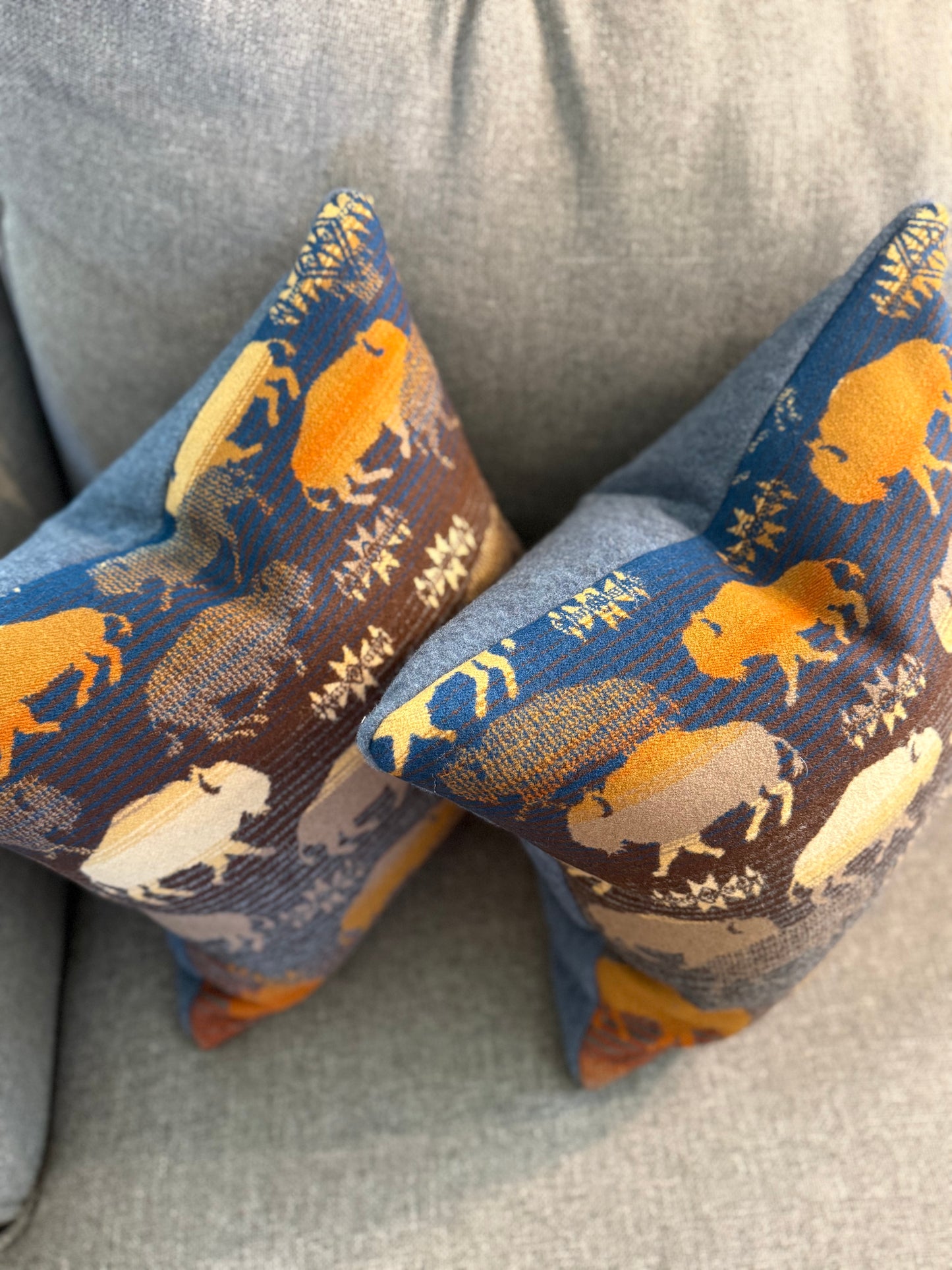 Land of Buffalo Pillow Set