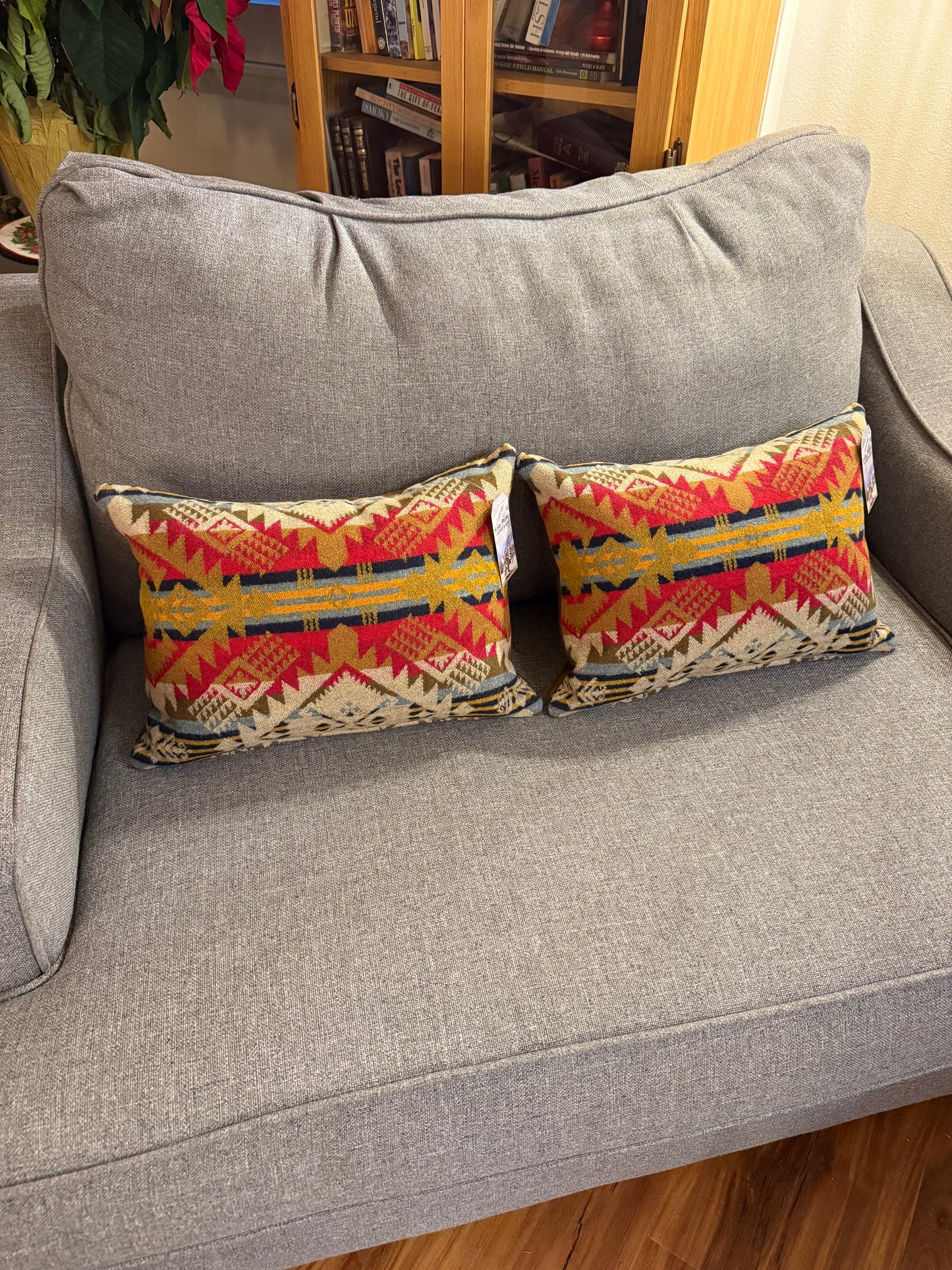 Journey West Pillows