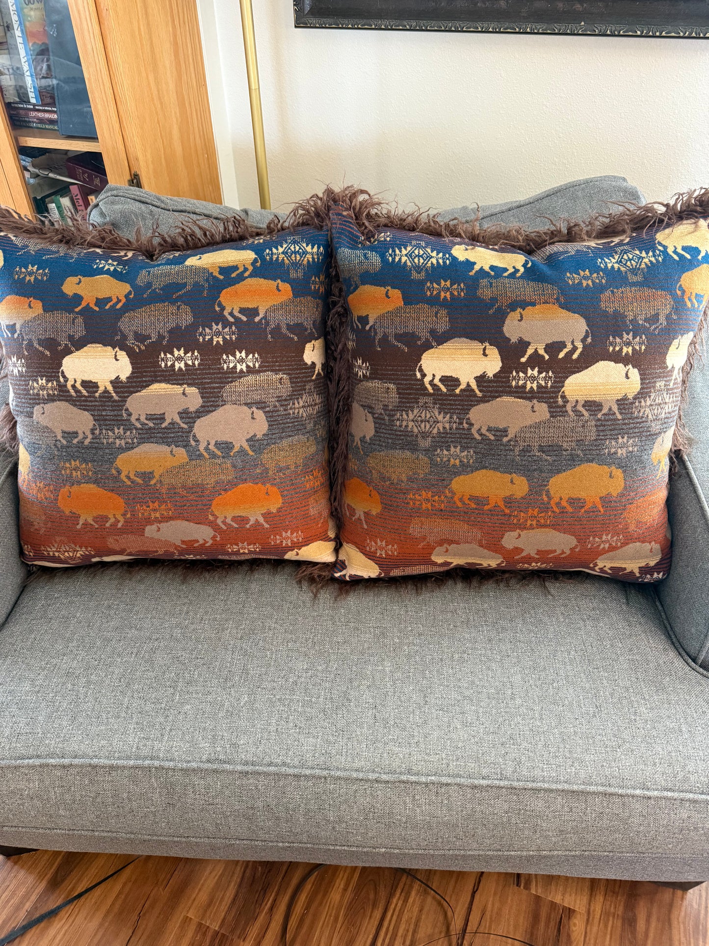 Land of Buffalo Pillows