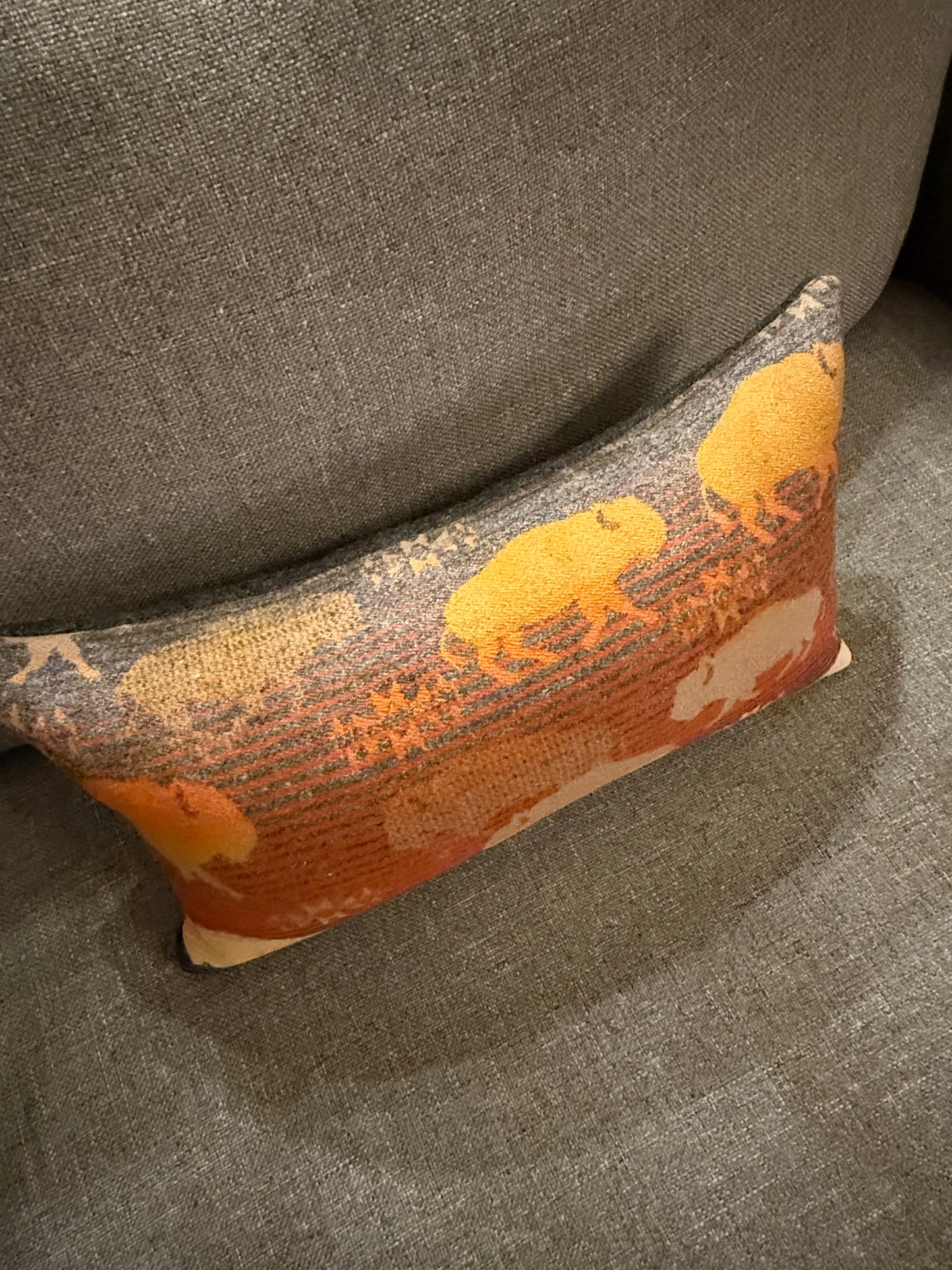Land of Buffalo Pillow