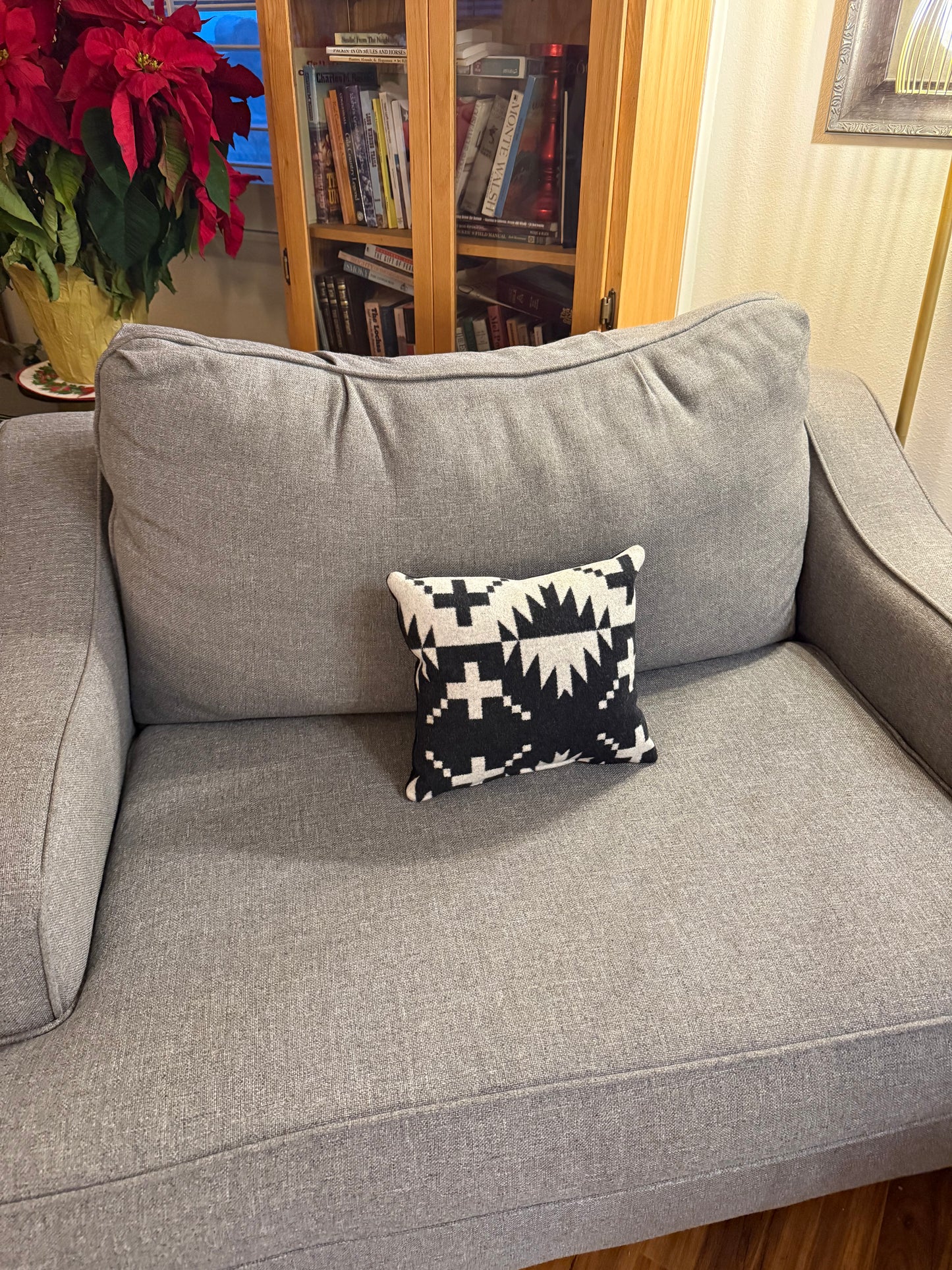 Spider Rock Throw Pillow